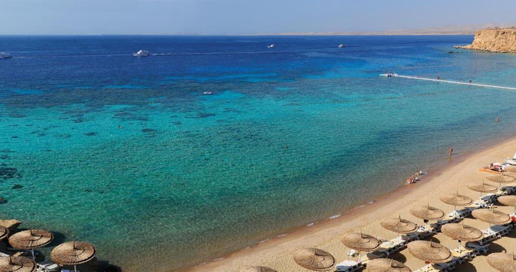 Reef 4